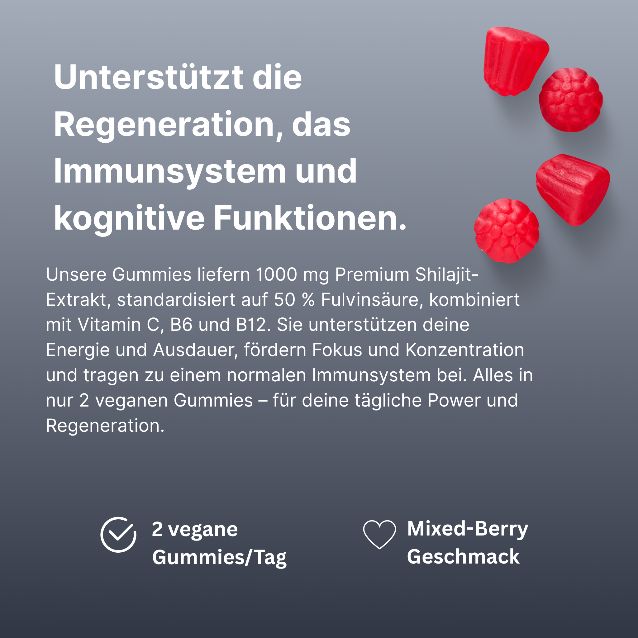 Shilajit Gummies: 60 Stk