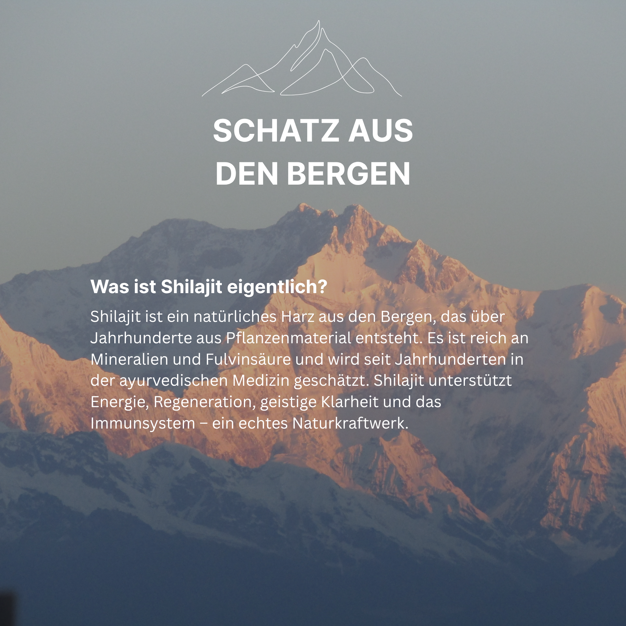 Shilajit Gummies: 60 Stk