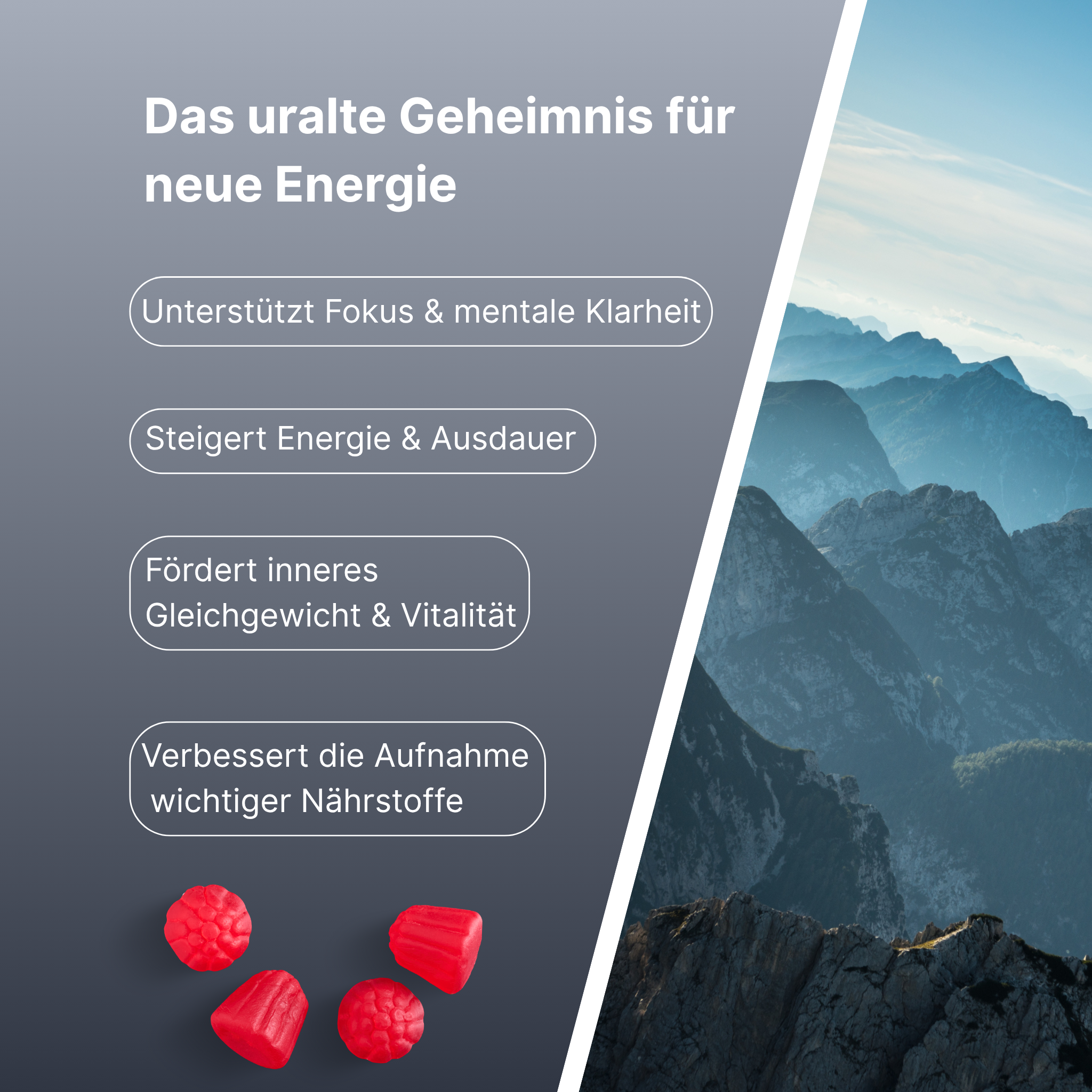 Shilajit Gummies: 60 Stk